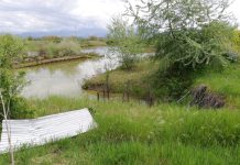 CAPENA: GLI SCAVI DI S.MARTA RISCHIANO DI TORNARE SOTTOTERRA.