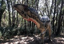 Jurassik… Ritorno al futuro