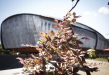 FESTIVAL DEL VERDE E DEL PAESAGGIO