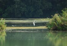 Riserva Tevere Farfa: sabato 18 e domenica 19 maggio Festa per i quaranta anni.