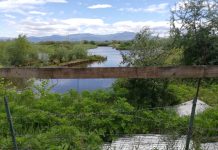 SALVARE IL MANSIO DI S. MARTA O ARRENDERSI AL DISINCANTO?