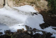 TORNA LA SCHIUMA CHE UCCIDE IL GRAMICCIA E IL TEVERE. I VIDEO DELLA VERGOGNA