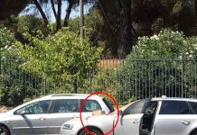 Roma: lancia un mattone dal cavalcavia di Villa Pamphili. Colpita un’auto in corsa.