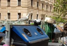 LA CAPITALE DEL DEGRADO