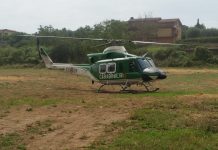 Roma Nord: controlli Carabinieri, un arresto, sei denunce e due maneggi multati.