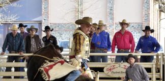 Capena, alla Mola regnano i tori del bullriding