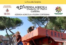 Capena, domani “II Festa della Trebbiatura”, in scena i sapori della nostra terra.