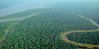 AMAZZONIA UN SERBATOIO DI BIODIVERSITÀ