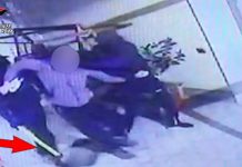 Fiano Romano, rapina in villa con pistola ed ascia