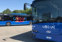 Trevignano: aggredisce e picchia autista Cotral per farsi consegnare denaro. Arrestato.