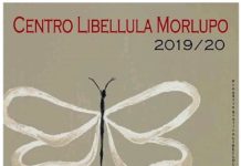 Morlupo: il Centro Libellula, una realtà di inclusione e promozione culturale per tutti.