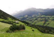 Sei milioni di nuovi alberi per dare un futuro alle terre che camminiamo. Il progetto Ossigeno