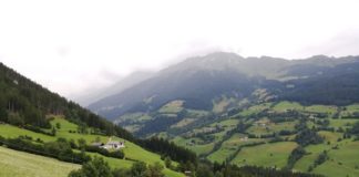 Sei milioni di nuovi alberi per dare un futuro alle terre che camminiamo. Il progetto Ossigeno