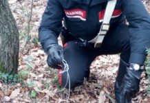 Riserva Naturale di Monterano: bracconiere sorpreso dai carabinieri.