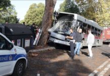 Bus contro albero. Alcuni passeggeri: “Guidava senza mani”. Altri testimoni: “Si è addormentato”.