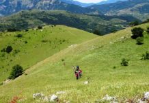 Escursioni: domenica 13 ottobre da Castelnuovo di Porto, Morlupo e Sacrofano a Monte Calvio.