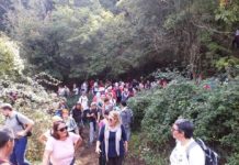Parco di Veio: grande successo ieri per “Un Cammino in Comune”, la passeggiata fino a Monte Calvio.