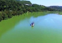 Ecotrek: sabato 12 ottobre visita guidata, pranzo e escursione in battello nella Riserva Tevere Farfa.