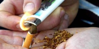 Capena, i Carabinieri trovano hashish in casa. Arrestato.