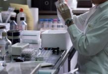 Alzheimer, in arrivo anticorpo per curare e rallentare il declino