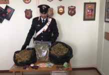 Morlupo: 2,5 kg di marijuana coltivate nell’armadio di casa. Arrestato 38enne.