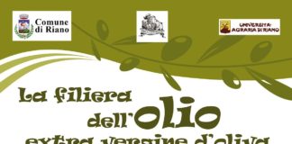 Riano: sabato 9 novembre l’iniziativa “La filiera dell’olio extra vergine d’oliva”.