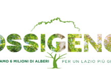 Regione Lazio: oggi parte il progetto “Ossigeno”, sei milioni di alberi piantati nei prossimi tre anni.