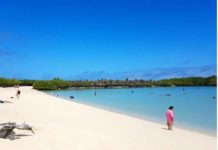 Aiutiamo Josè nel suo ultimo viaggio