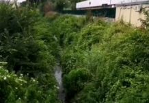 Al via i lavori di bonifica e risanamento della “marana” di Prima Porta.