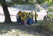 Parco di Veio: grande adesione delle scuole del territorio ai progetti di educazione ambientale.