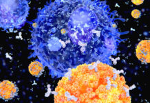 Corsa al vaccino, dopo la Cina , anche l’Australia procede alla sperimentazione su animali