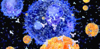 Corsa al vaccino, dopo la Cina , anche l’Australia procede alla sperimentazione su animali