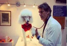 Animali: al via a Roma la bella iniziativa “Una cuccia in sospeso”. Di cosa si tratta.