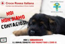 Animali: numerosi abbandoni, parte la campagna “Noi non siamo contagiosi”.