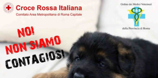 Animali: numerosi abbandoni, parte la campagna “Noi non siamo contagiosi”.
