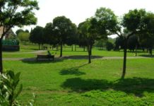 Roma: verso la chiusura di ville e parchi a partire da domani.