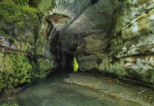 Parco di Veio: sul sito dell’Ente una mostra virtuale dedicata alla via Francigena.