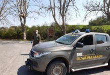 Parco di Veio: controlli dei guardiaparco nelle zone dell’area protetta.