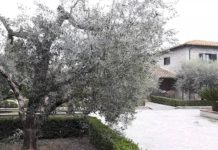 Fiano Romano: 14 casi di contagio in una casa di riposo e un decesso. La nota del sindaco.