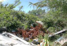 Capena, scarica rifiuti nel Tevere. Sorpreso dai Carabinieri forestali.