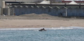 Roma: spiagge vietate a Ostia fino al 17 maggio. Ai trasgressori, multe fino a 500 euro.