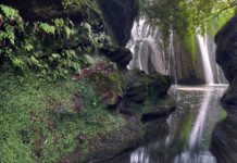 Parco di Veio: le eventuali riaperture dal 4 maggio dipendono dai singoli Comuni.