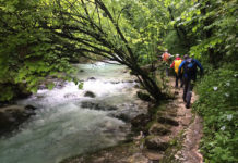 Ambiente: nasce il “Sentiero dei Parchi Italiano”, alla stregua di quello di Santiago.