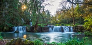 Valle del Treja: sabato 4 luglio “Passeggiata sensoriale” per bambini a Monte Gelato.