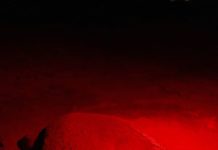 Natura: tartaruga marina nidifica sulla spiaggia di Torvaianica. Depositate circa 90 uova.