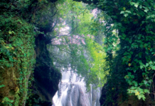 Parco di Veio: concessione del patrocinio, importanti novità per i Comuni.