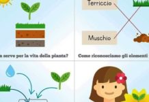 Roma: domenica 5 luglio laboratorio per bambini da 6 a 11 anni all’Orto Botanico.