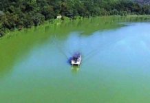 Riserva Tevere Farfa: venerdì 17 luglio serata con battello e racconti sul fiume.