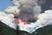 Brucia il Parco Nazionale del Gran Sasso, coinvolti 200 ettari di bosco.