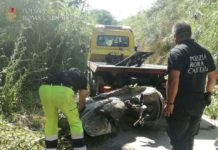 Roma: recuperate dalla Polizia locale moto rubate gettate nel Tevere.